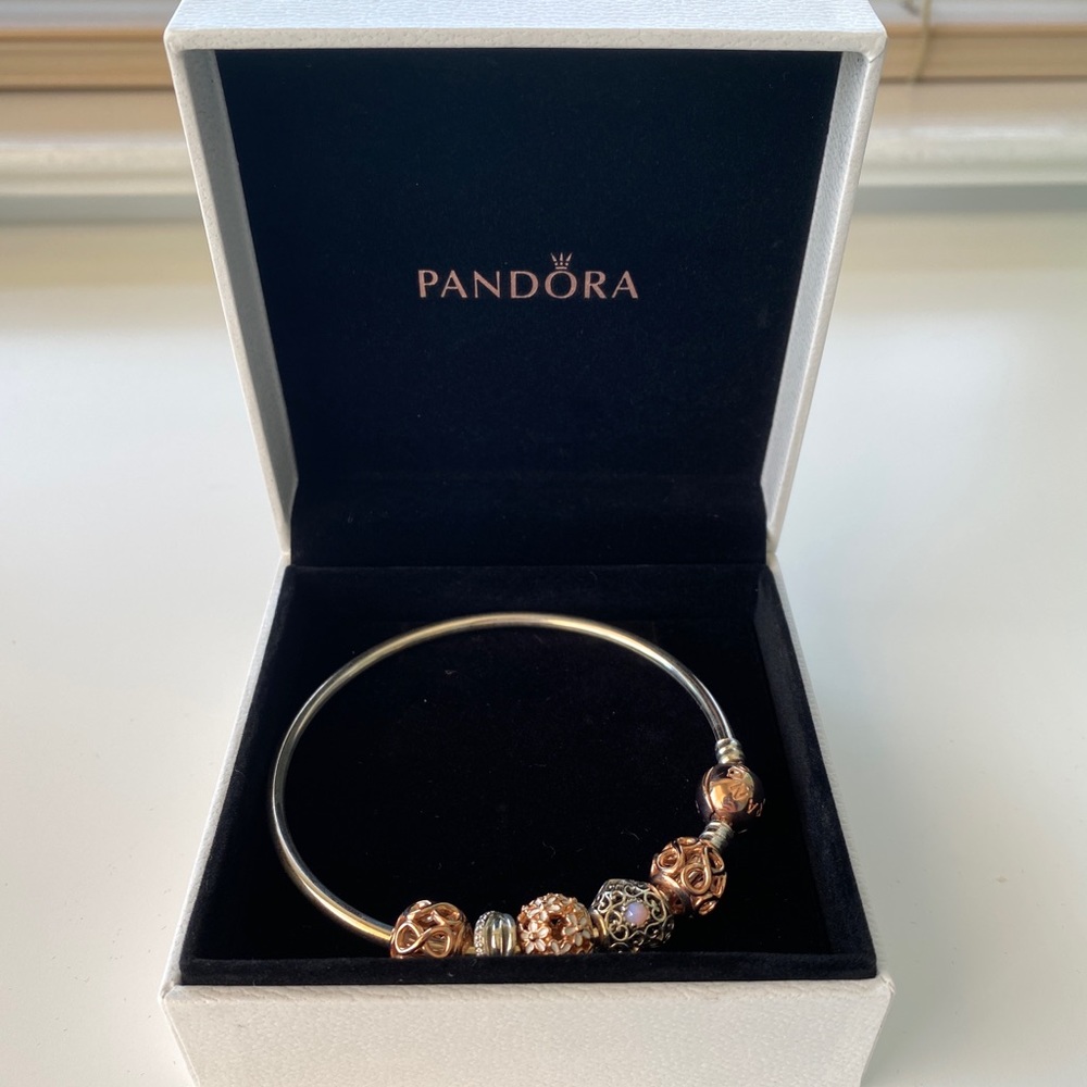 Pandora Bracelet Never Worn